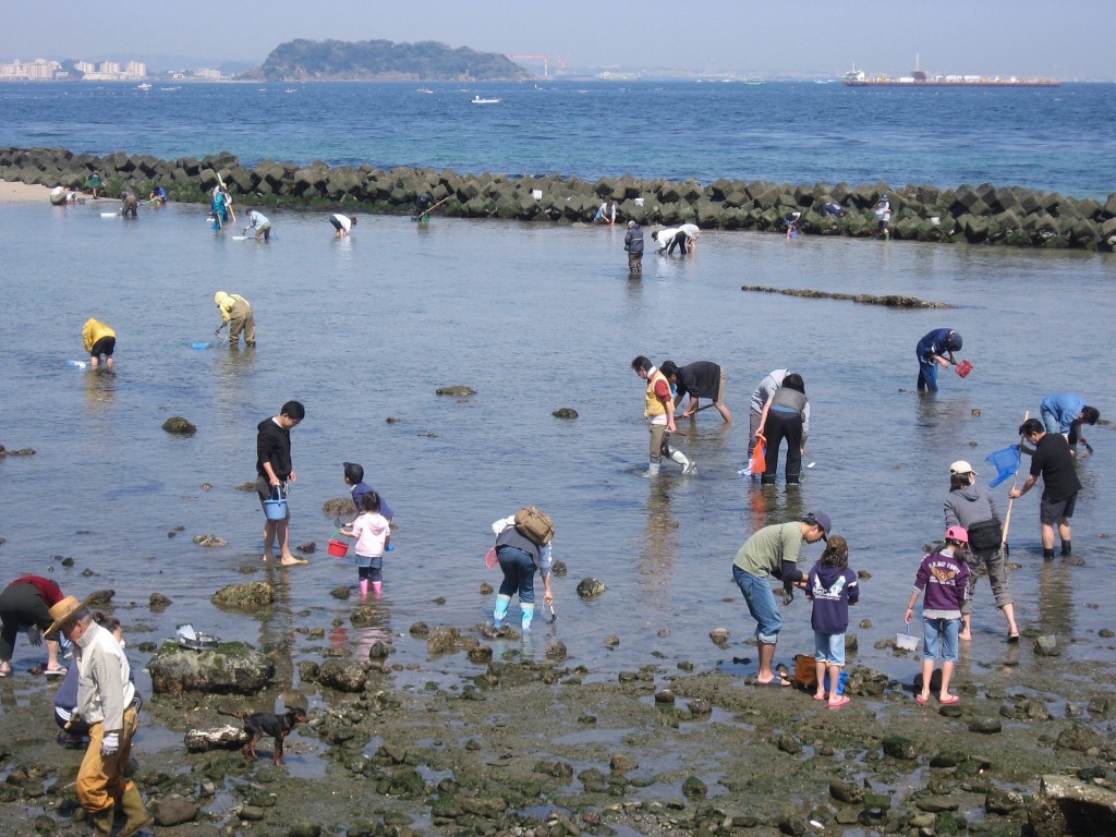 hashirimizu-beach-1308032_1920