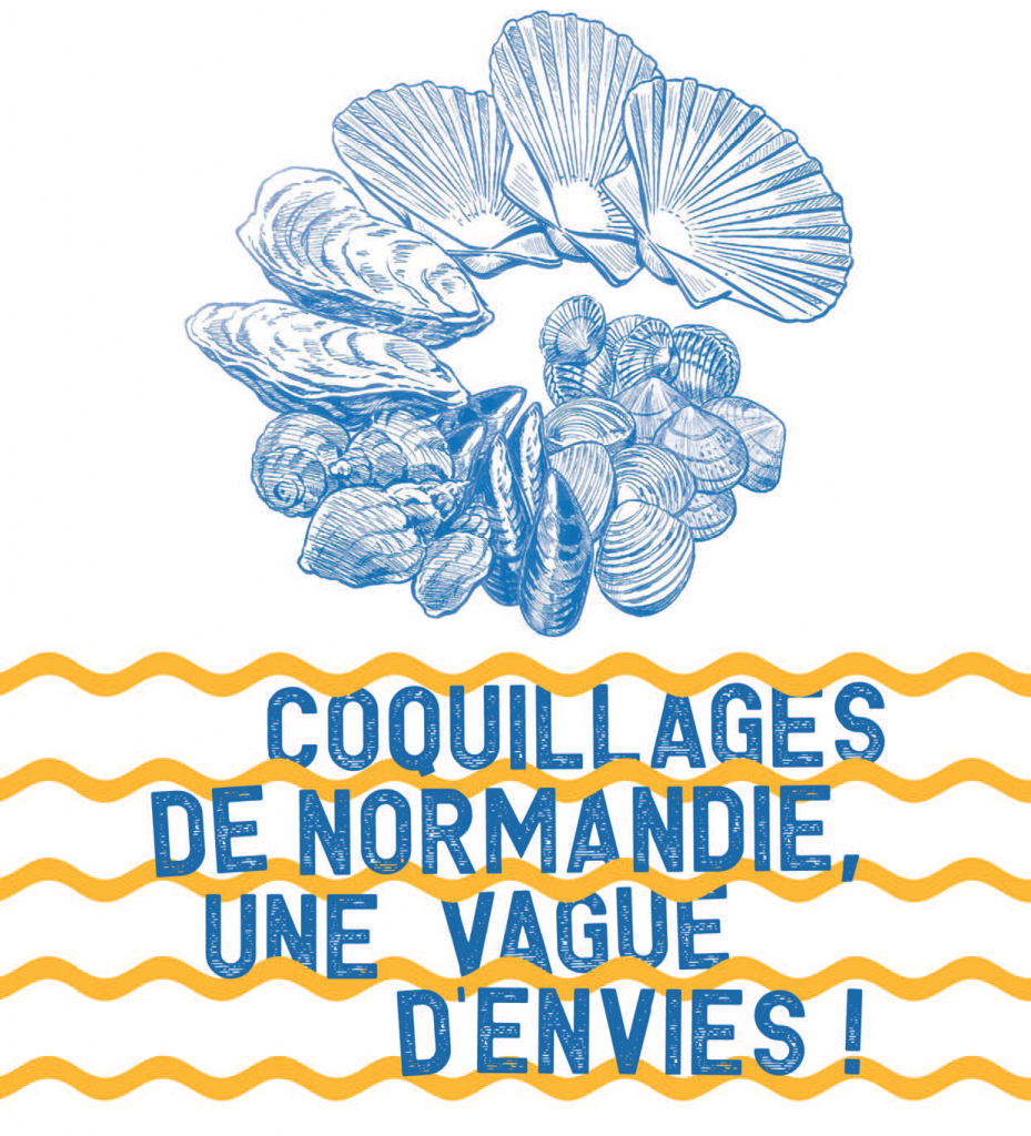 coquillages_de_normandie_2017_