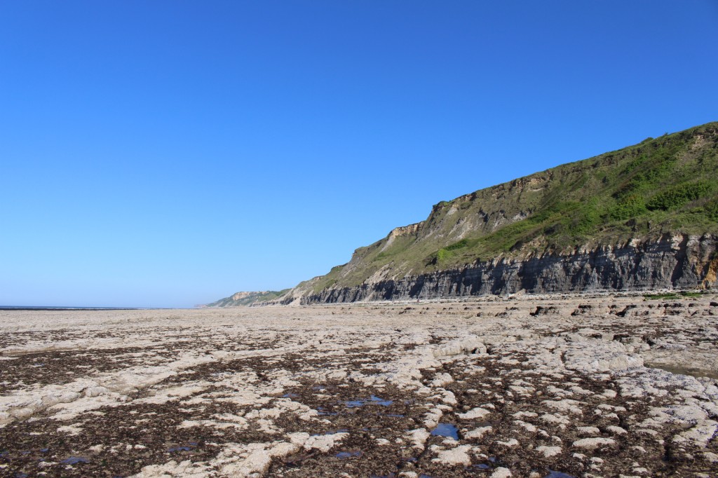 falaises (4)