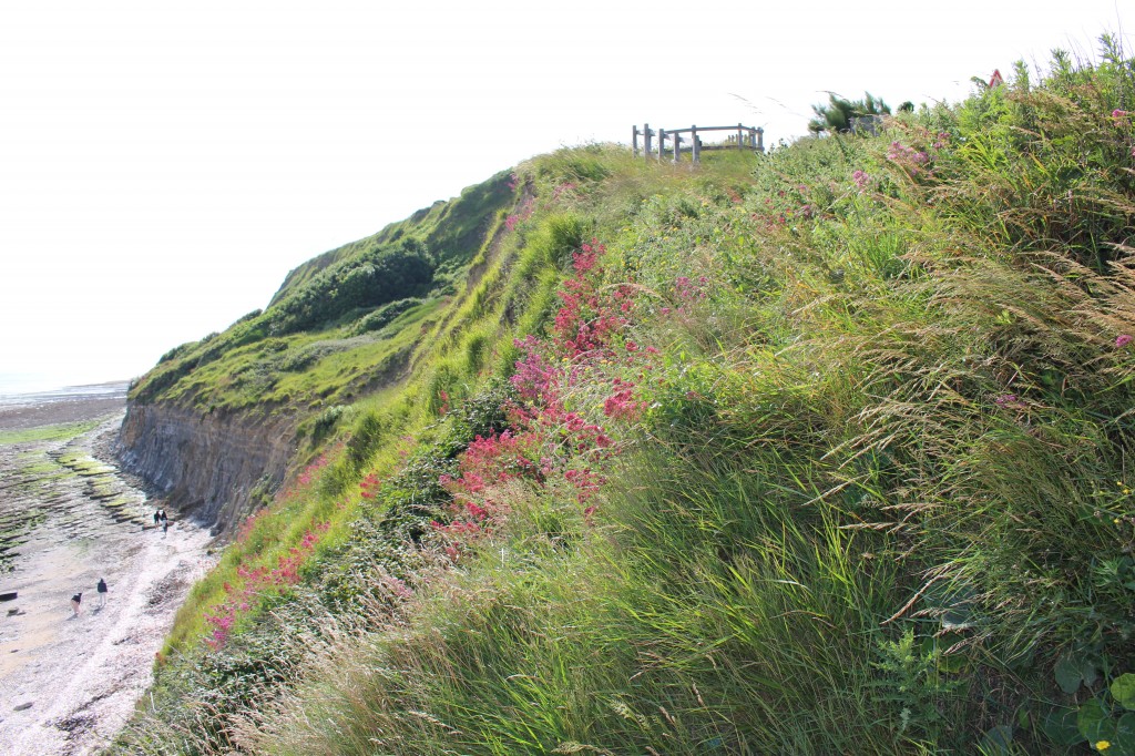 sentier des douaniers (31)
