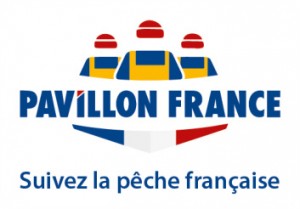 logo pavillon france copie
