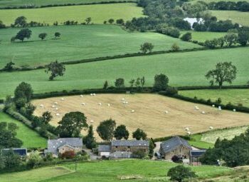 Haies bocagères dans le Bessin